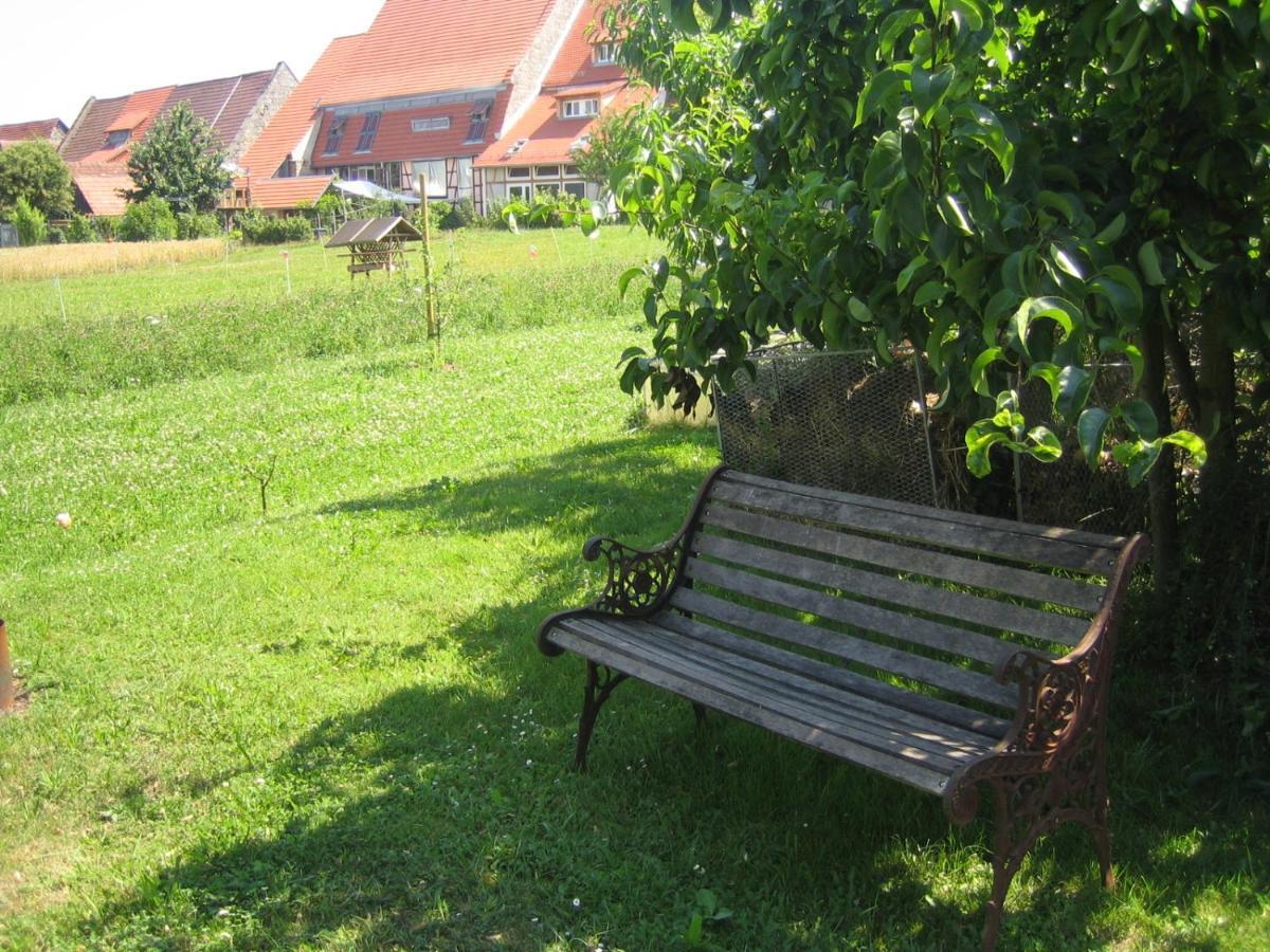 Apartment & Zimmer Familie Trescher ทือบิงเงิน ภายนอก รูปภาพ